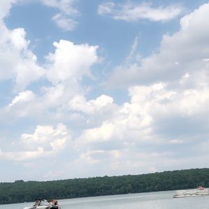 Meet your Posher, Isabella